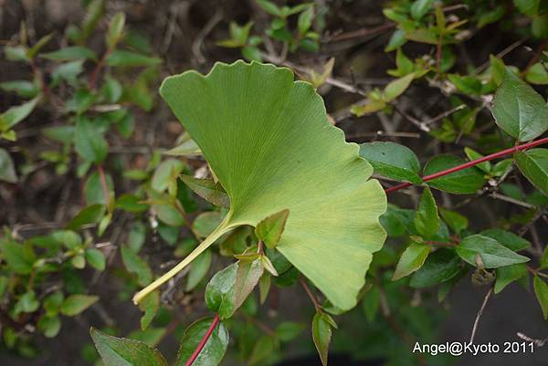 P1010356.jpg P1010356.jpg