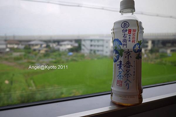 P1010478.jpg P1010478.jpg