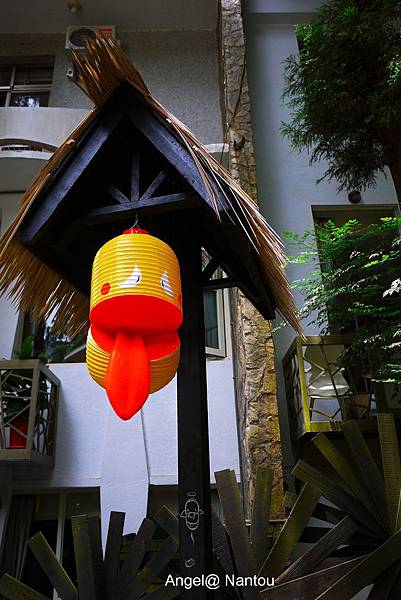 P1020685 P1020685