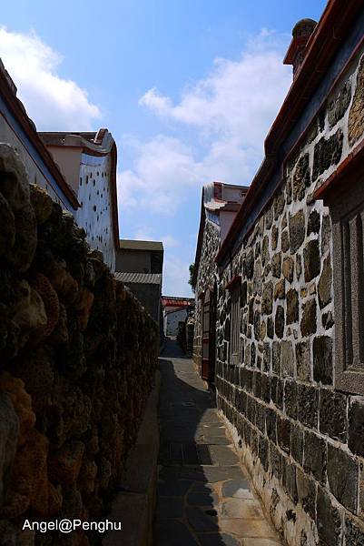 P1020929 P1020929