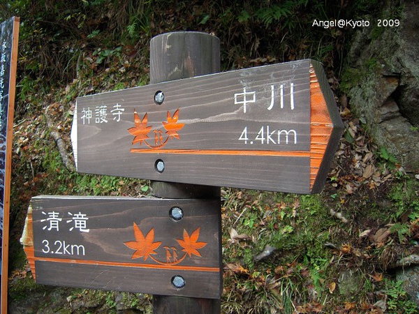 DSCN1568.jpg DSCN1568.jpg