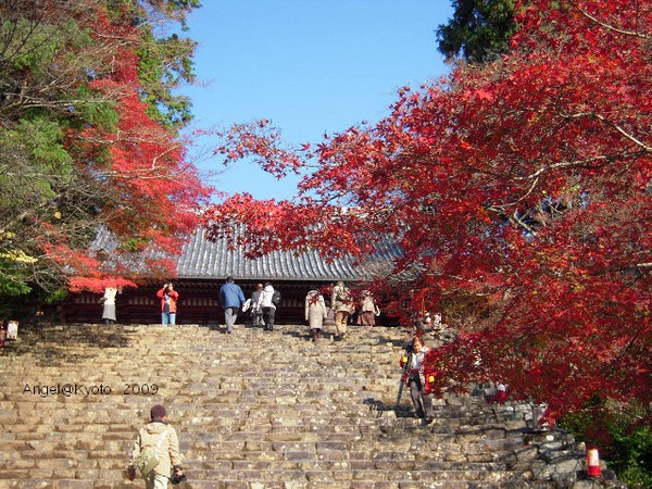 DSCN1585.jpg DSCN1585.jpg