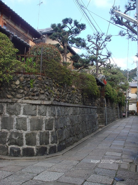 DSC06910.JPG DSC06910.JPG