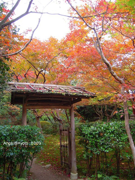 DSCN1654.jpg DSCN1654.jpg