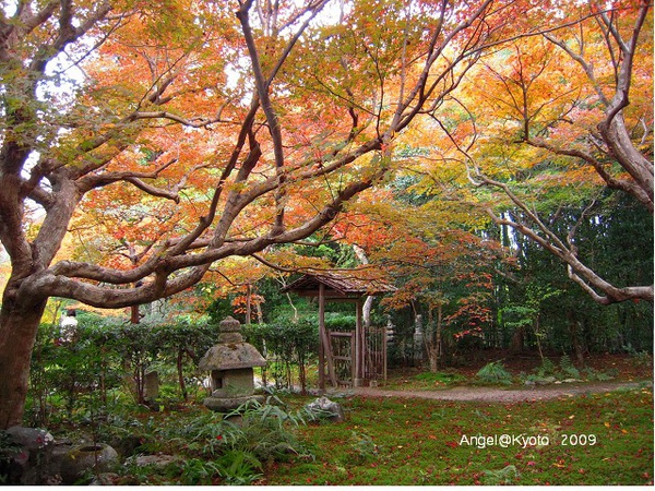 青苔庭園