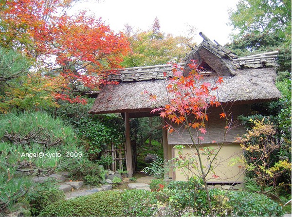 茅草屋 茅草屋