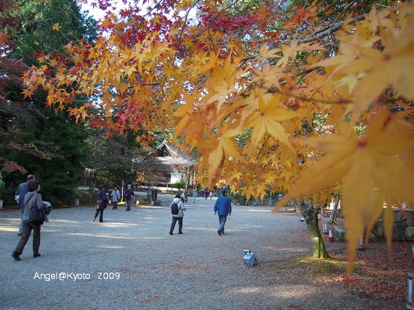 DSCN1584.jpg DSCN1584.jpg