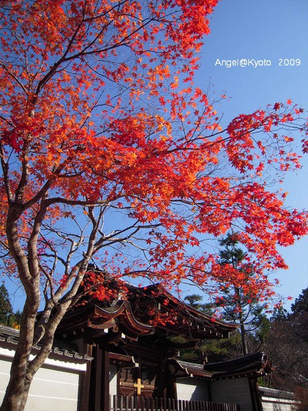 DSCN1581.jpg DSCN1581.jpg