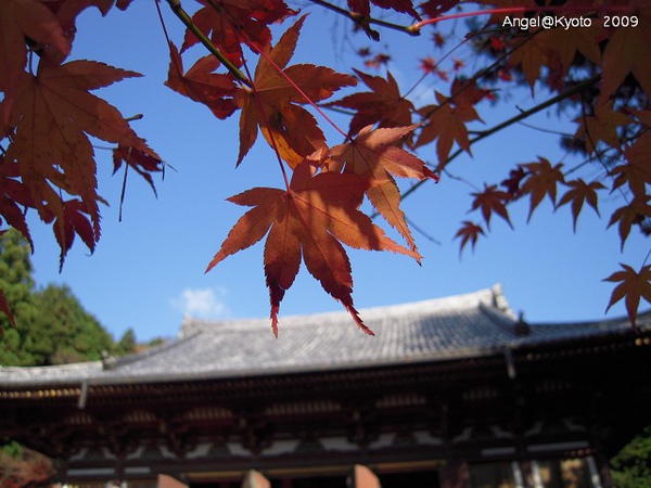 DSCN1592.jpg DSCN1592.jpg