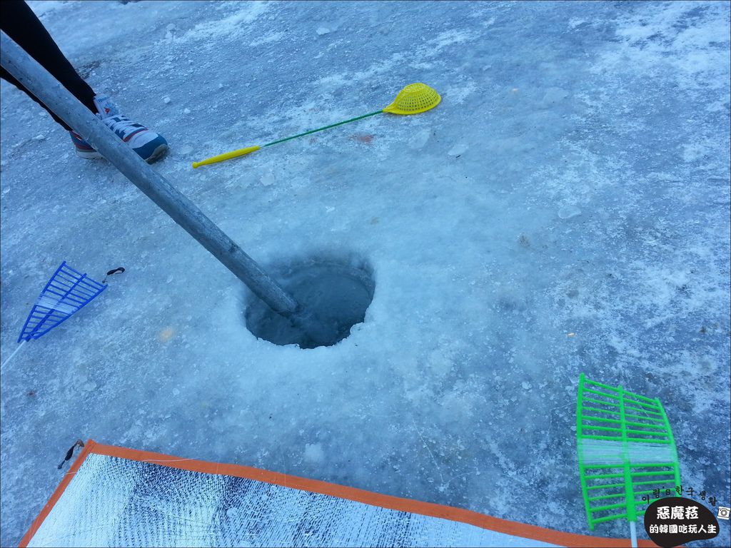 "韓國釣冰魚"離首爾只要一個小時車程，搭地鐵就到─清平鱒魚冰魚節/청평얼음꽃 송어축제