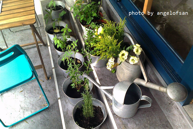 IMAG1746.jpg IMAG1746.jpg