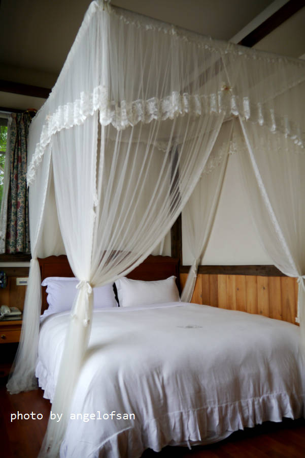 P1130775.JPG P1130775.JPG