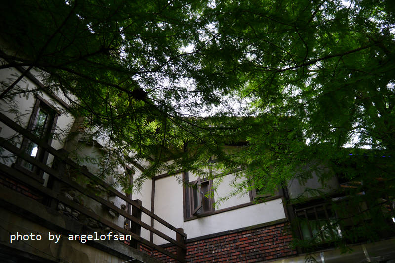 P1130782.JPG P1130782.JPG