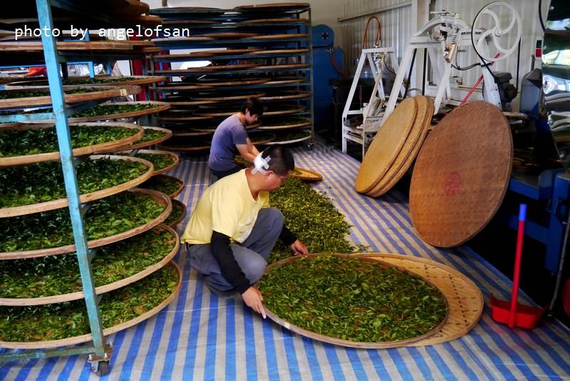 P1140879.JPG P1140879.JPG