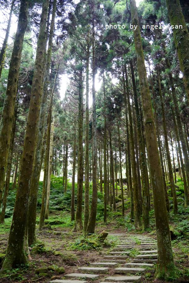 P1140896.JPG P1140896.JPG