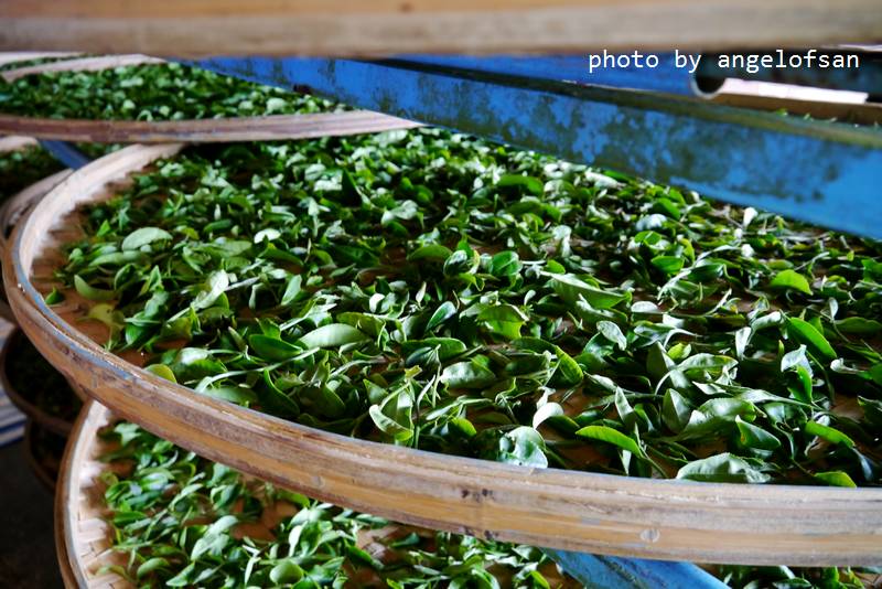 P1140887.JPG P1140887.JPG