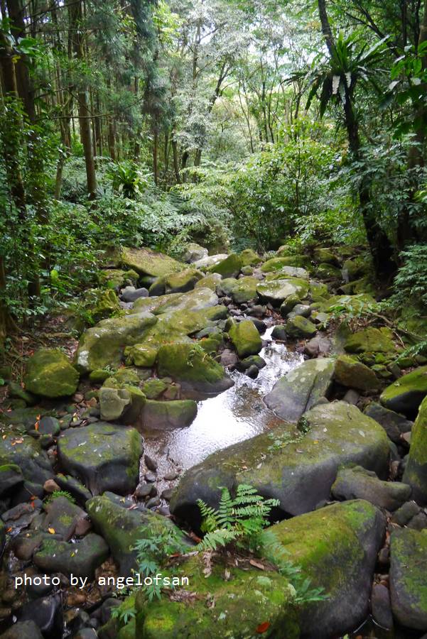 P1140898.JPG P1140898.JPG