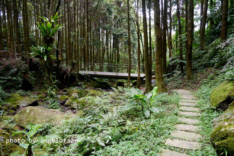 P1140907.JPG P1140907.JPG