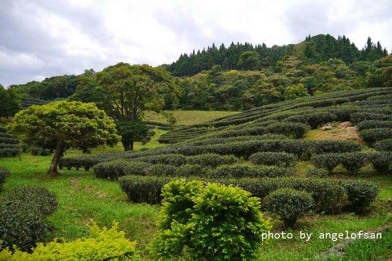 P1140915.JPG P1140915.JPG