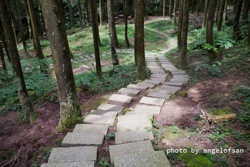 P1140911.JPG P1140911.JPG