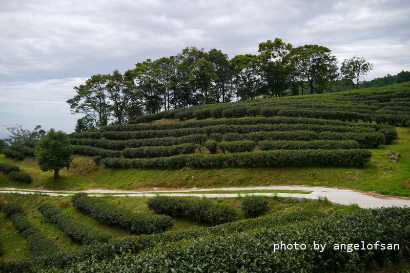 P1140922.JPG P1140922.JPG