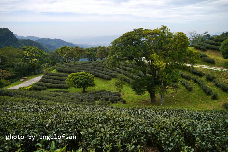 P1140921.JPG P1140921.JPG