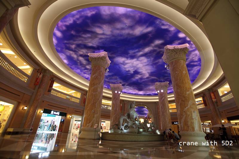 IMG_3611.JPG IMG_3611.JPG