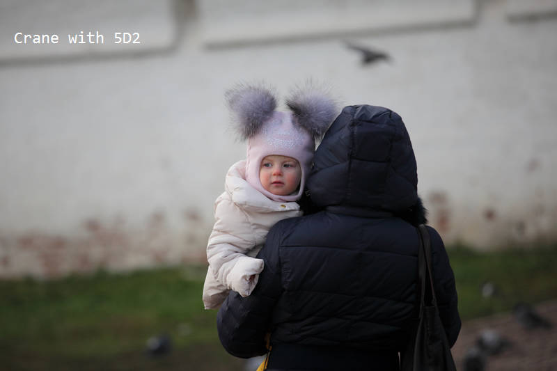 IMG_8732.JPG IMG_8732.JPG