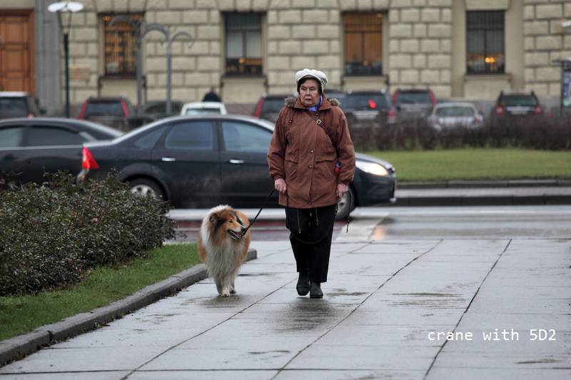 IMG_9719.JPG IMG_9719.JPG