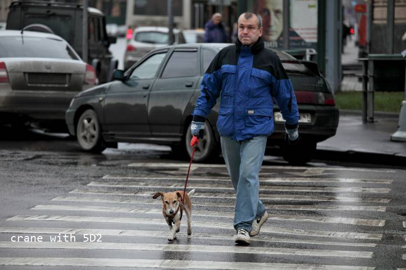 IMG_9722.JPG IMG_9722.JPG