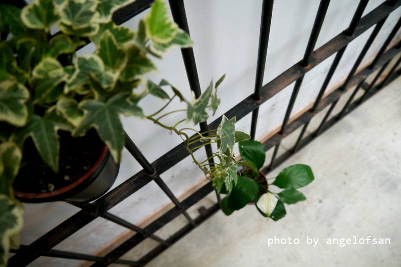 P1140948.JPG P1140948.JPG