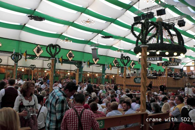 IMG_6303.JPG IMG_6303.JPG