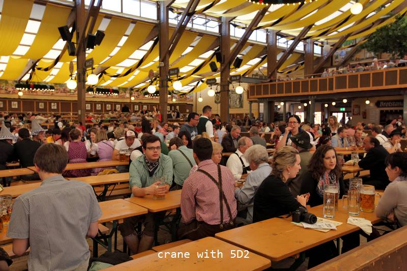 IMG_6462.JPG IMG_6462.JPG