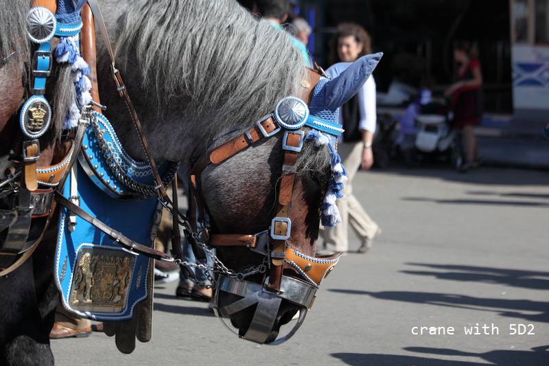 IMG_6484.JPG IMG_6484.JPG