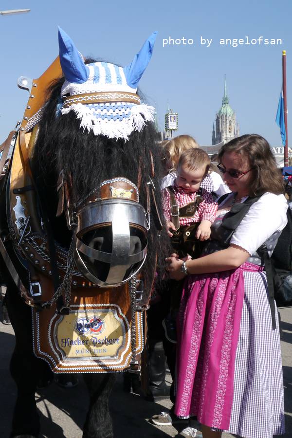 P1180393.JPG P1180393.JPG