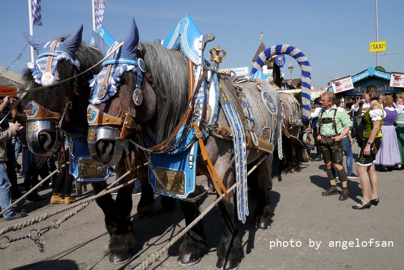 P1180403.JPG P1180403.JPG