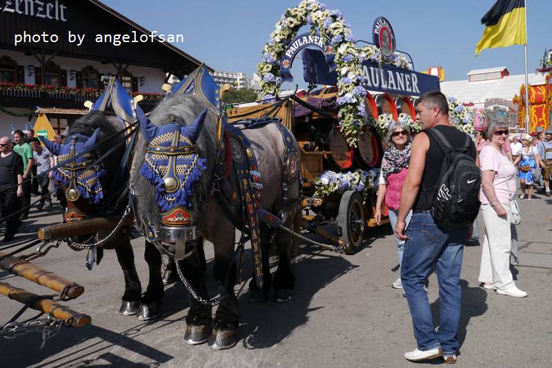 P1180431.JPG P1180431.JPG