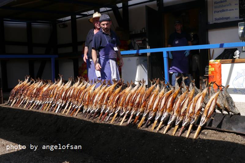 P1180445.JPG P1180445.JPG