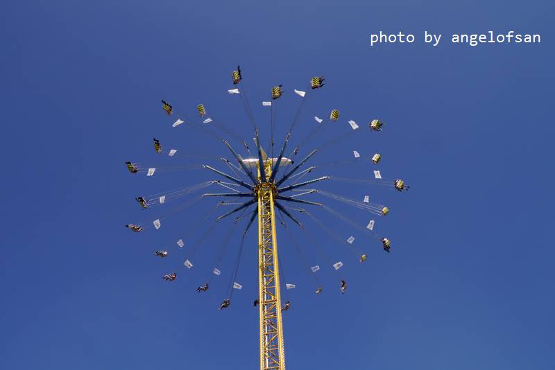 P1180463.JPG P1180463.JPG