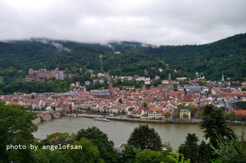 P1150574.JPG P1150574.JPG