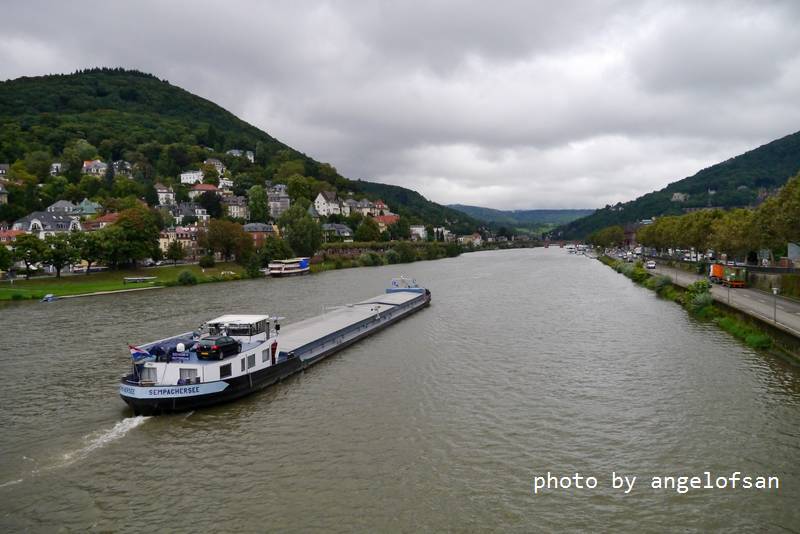 P1150551.JPG P1150551.JPG