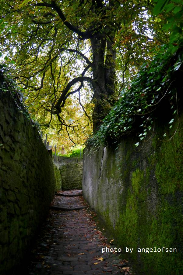 P1150612.JPG P1150612.JPG