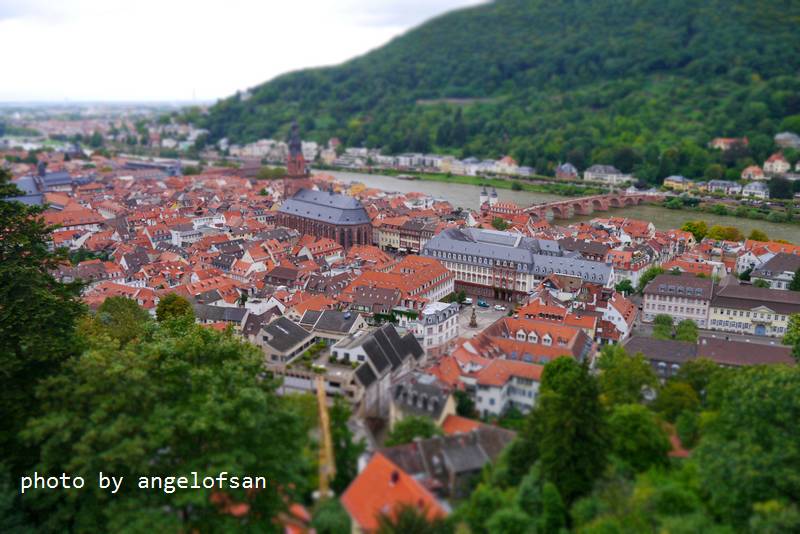 P1150691.JPG P1150691.JPG