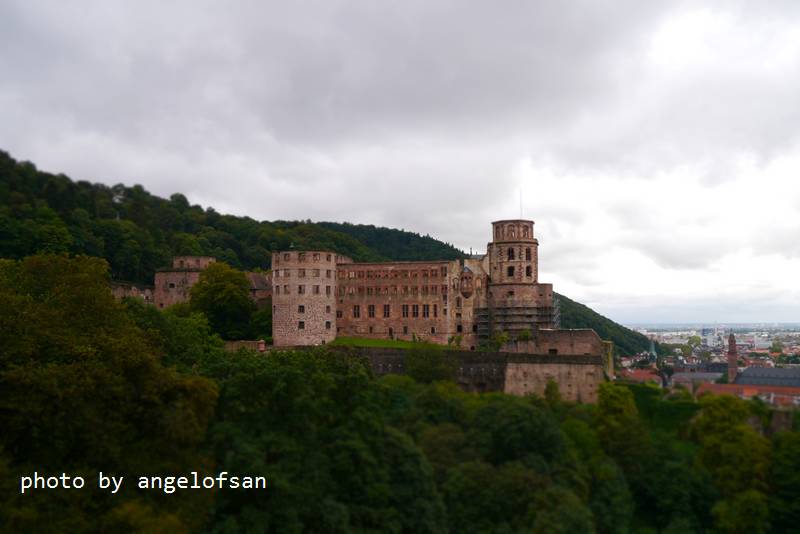 P1150726.JPG P1150726.JPG