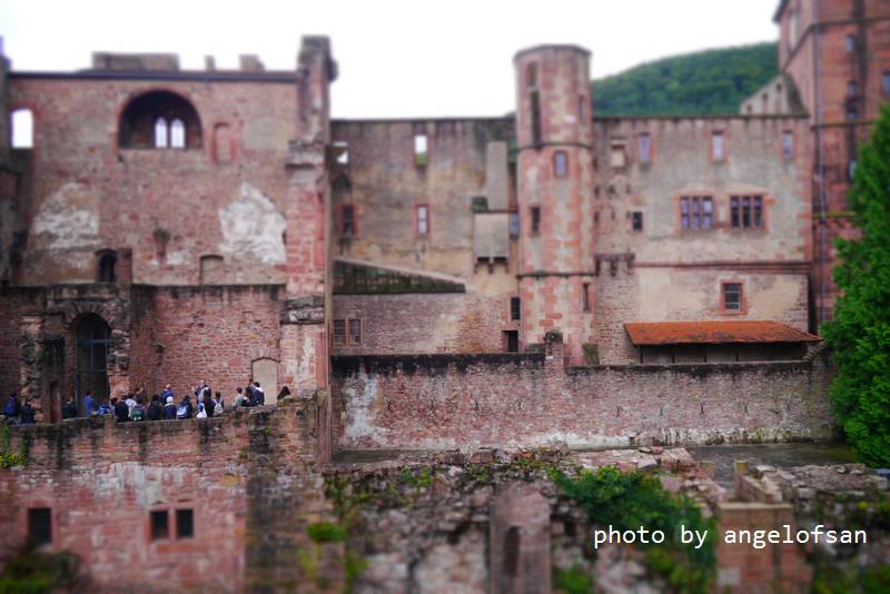 P1150697.JPG P1150697.JPG