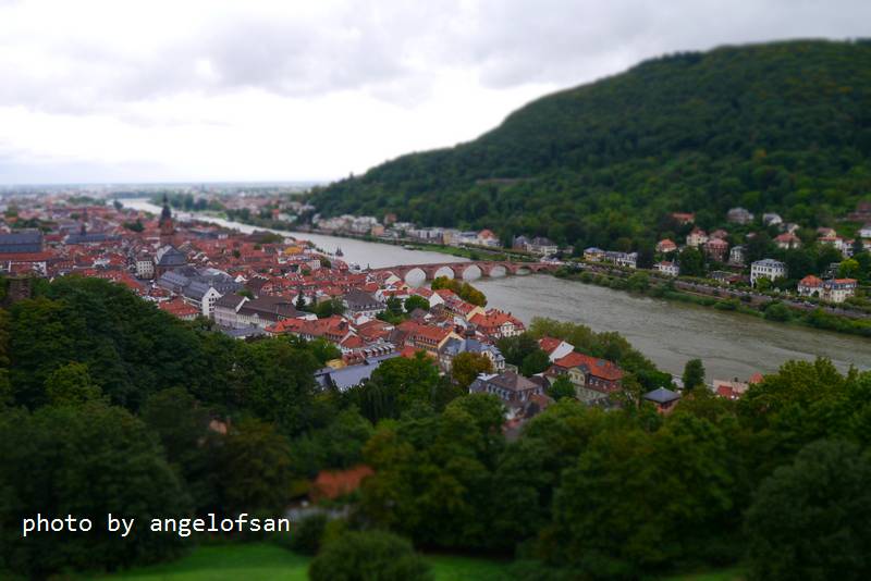 P1150727.JPG P1150727.JPG