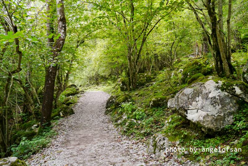 P1160839.JPG P1160839.JPG