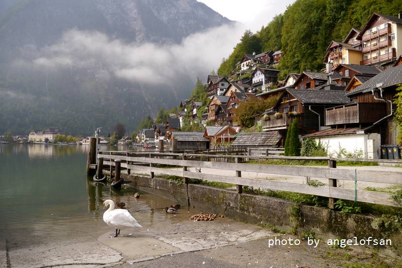 P1170777.JPG P1170777.JPG