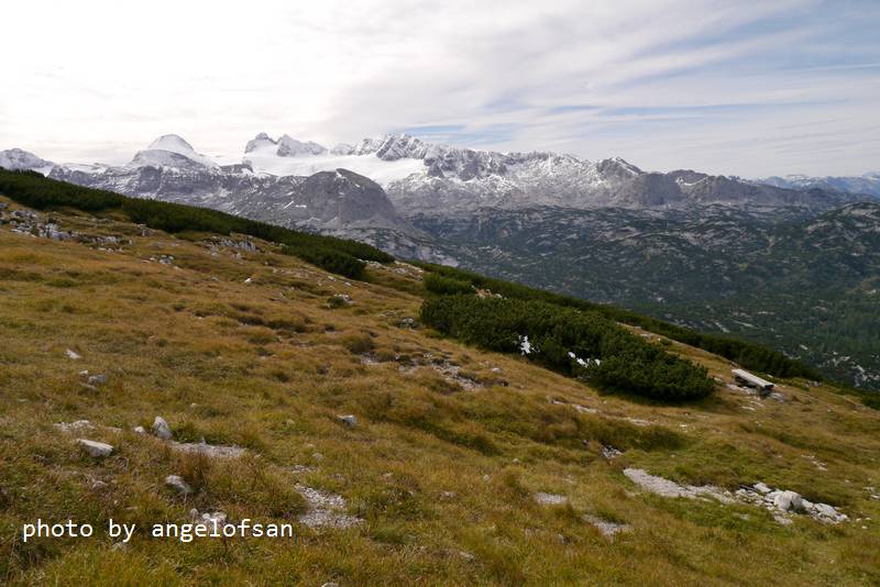 P1170909.JPG P1170909.JPG