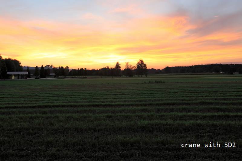 IMG_6012.JPG IMG_6012.JPG